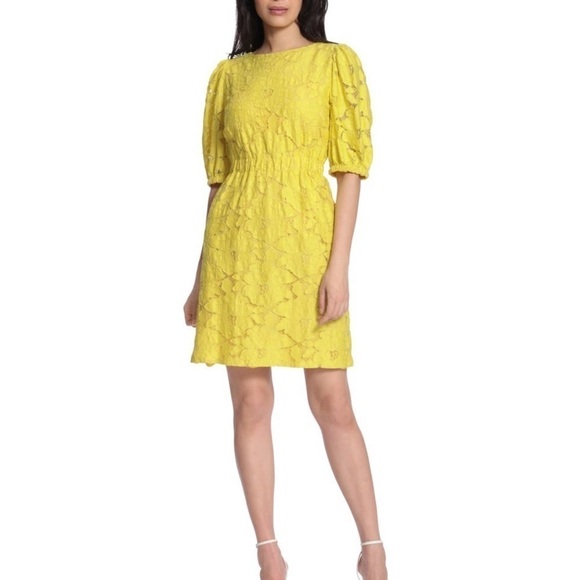 Nwt Maggy London Buttercup lace dress. Size 6 - Picture 4 of 4